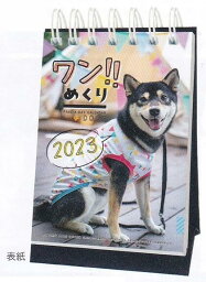 ※2023年※卓上カレンダー/38.ワン!!めくり(1000123658)/アートプリントジャパン/値下げしました(takuhai)