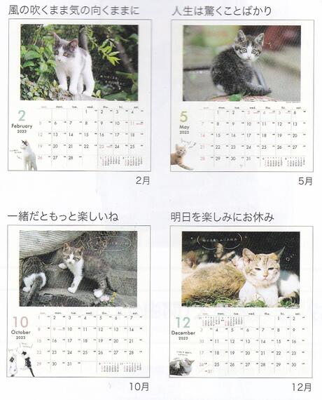 猫カレンダー23 卓上や日めくり 壁掛けなどかわいい人気カレンダーのおすすめプレゼントランキング 予算2 000円以内 Ocruyo オクルヨ