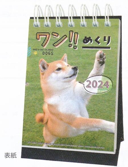 2024ǯ/34.!!᤯/奫(1000128390)(113870)/ȥץȥѥ/Ͳޤ(tak...