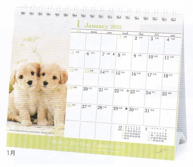 ●9月中旬発売予定/予約商品/2025年/36.仔犬(卓上)(1000132334)(141026)/カレンダー/アートプリントジャパン(mail 190)