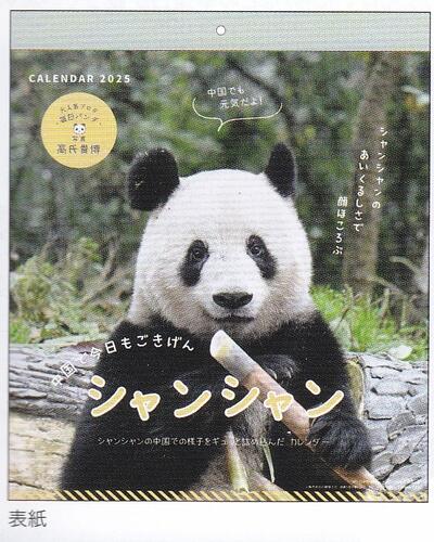◆●2025年/46.シャンシャンパンダ川柳(高氏貴博)(1000132344)(141125)壁掛けカレンダー/アートプリントジャパン(mail 450)のサムネイル