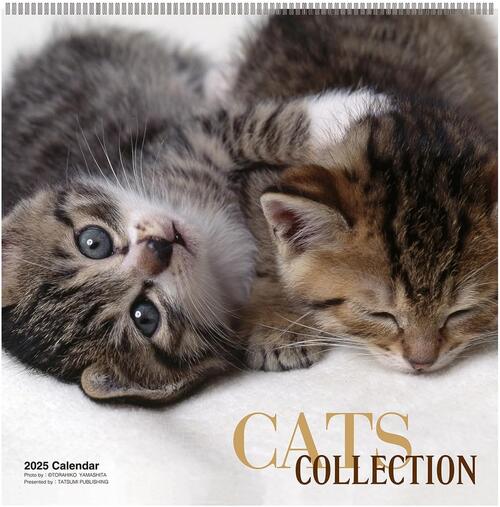 □●2025年/辰巳出版/49.Cats Collection/山下寅彦(1000132347)(141156)/壁掛け/カレンダー/アートプリントジャパン/値下げしました(takuhai)