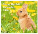 9月中旬発売予定 予約商品 Sweet Rabbit 2026年壁掛けカレンダー (26ACL-36) (508365) アクティブコーポレーション (mail...