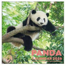 9月中旬発売予定 予約商品 パンダ 2026年壁掛けカレンダー (C-1668-PA) (339667) グリーティングライフ (takuhai)