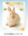 9月中旬発売予定 予約商品 2026年Sweet Rabbit卓上カレンダー(26ACL-571)(935710) うさぎ ウサギ アクティブコーポレーション 早期ご予約特典!メール便送料無料!(mail 190)