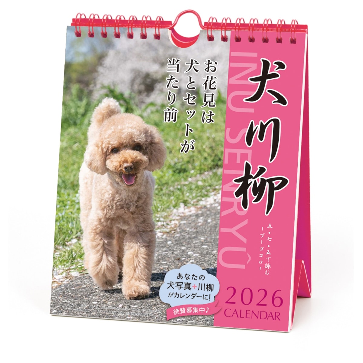 9月上旬発売予定 予約商品 2026年27.プードル川柳(週めくり)(1000136877)(174291) 犬川柳 カレンダー 壁掛け 卓上 アートプリントジャパン 早期ご予約特典 メール便送料無料！(mail 190)