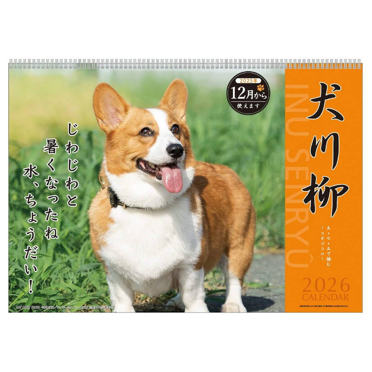 9月上旬発売予定 予約商品 2026年20.コーギー川柳(1000136870)(174222)犬川柳 壁掛けカレンダー 2025年12月始まり アートプリントジャパン(takuhai)