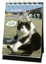 9月上旬発売予定 予約商品 2026年30.ニャン!!めくり/五十嵐健太(1000136880)(174369)卓上カレンダー アートプリントジャパン 早期ご予約特典 宅配便送料無料!(takuhai)