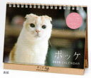9月上旬発売予定 予約商品 2026年37.ポッケ卓上カレンダー(1000136887)(174437) Pokke 猫 ねこ ネコアートプリントジャパン早期ご予約特典 メール便送料無料!(mail 190)|詳細画像
