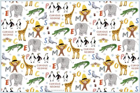 ●おさるのジョージ/ZOO/レジャーシートS(VS1)(685927)/1人用/スケーター(mail 290)