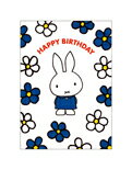 ߥåե/ݥȥ/ۥ磻//HAPPY BIRTHDAY(BPC-409)/miffy/ߤäդ(mail 190)