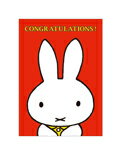 ߥåե/ݥȥ//CONGRATULATIONS!(BPC-410)/miffy/ߤäդ(mail 190)