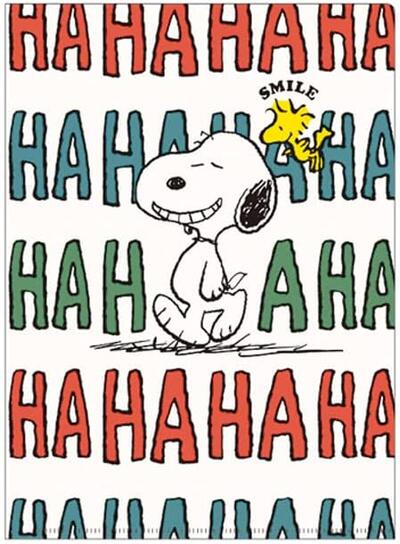 ●スヌーピー/ファイル付レターセット(PS23-22)(306320)/スクエア(mail 190)