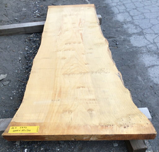 銀杏(いちょう)耳付き 無垢天板2000×65×700ミリ NO.4天板/テーブル/カウンター/家具/イチョウ 銀杏(いちょう)耳付き 無垢天板2000×65×700ミリ NO.4天板/テーブル/カウンター/家具/イチョウ