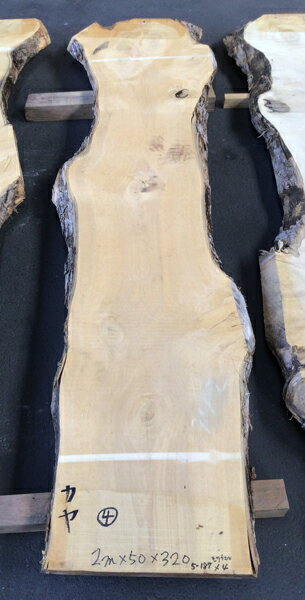 カヤ　耳付き　無垢天板2000×50×320ミリ　NO.4天板/棚板/看板/家具/かや/イチイ科