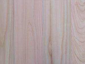 �����ѡ�ɰ̵���ե������̵�ϡ�̵����1900��12��90�ߥꡡ19������/��/�ҤΤ�/����/��ե�����