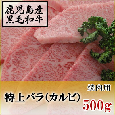 国産黒毛和牛 特上カルビ 焼肉用 500g【鹿児島】【薩摩】【国産】【BBQ】【カルビ】【バラ】【特上】【バーベキュー】【牛肉】【ビーフ】【焼肉】【贈答】【高級】【肉】【パーティー】【誕生…