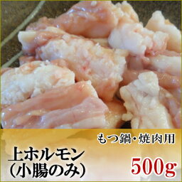 国産牛　ホルモン　小腸　500g【鹿児島】【黒毛和牛】【国産牛】【薩摩】【ホルモン】【丸腸】【もつ鍋】【ぷりぷり】【内蔵】【バーベキュー】【BBQ】【新鮮】【牛肉】【焼肉】【高級】【肉】【パティ】【誕生日】【記念】【記念】【贅沢】