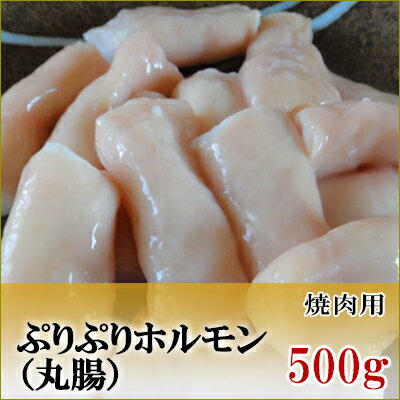 国産牛　ホルモン　マルチョウ　500g【鹿児島】【黒毛和牛】【国産牛】【薩摩】【ホルモン】【丸腸】【もつ鍋】【ぷりぷり】【内蔵】【バーベキュー】【BBQ】【新鮮】【牛肉】【焼肉】【高級】【肉】【パティ】【誕生日】【記念】【記念】【贅沢】