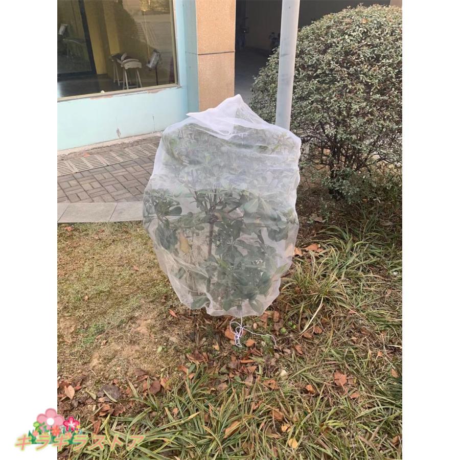 植物防虫ネット 1mm目1m*1.5m 2枚入り 袋 野菜網 園芸野菜栽培 園芸ネット保護カバー 虫鳥除け網 防風 防虫 鳥対策 通気性 菜園プランター用
