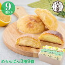 ギフト スイーツ 洋菓子 C122 八天堂メロンパン3種9個詰合せ プレゼント お取り寄せ 高級 人気