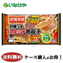 送料無料 冷凍食品 おかず イートアンドフーズ 大阪王将 羽根つきスタミナ肉餃子 12個入 1袋(12個入)×20袋 ケース 業務用