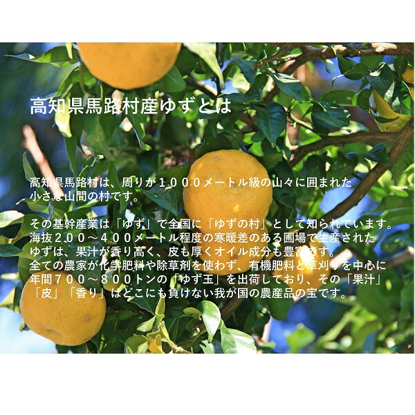 ����̵�� ��������¤ �ڱ� �椺��ѥå� 500ml��6�� ������