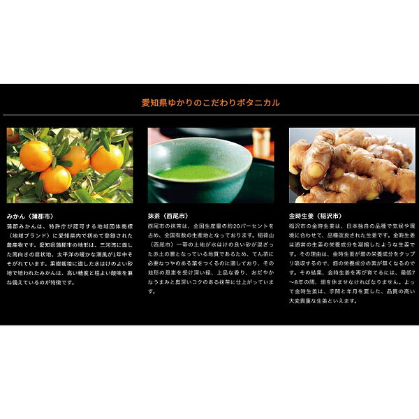 送料無料 清洲桜醸造 愛知クラフトジンキヨス40度 500ml×12本 ケース