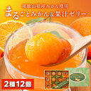 お中元 夏ギフト 送料無料 ギフト プレゼント ゼリー お菓子 京竹風庵 和歌山県産みかん使用 まるごとみかん&果汁ゼリー 型番:MM-30P 御中元 中元 夏...