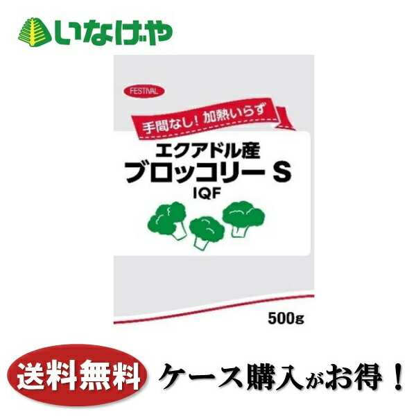 送料無料 冷凍食品 野菜 富士通商 自然解凍ブロッコリーS（エクアドル産） 500g×20袋 ケース 業務用