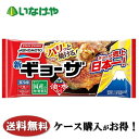 送料無料 冷凍食品 中華 おかず 惣菜 味の素冷凍食品 ギョーザ 12個入り×20袋 ケース 業務用