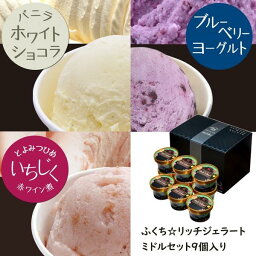 ギフト アイスクリーム 洋菓子 福智ブランドファクトリー ふくち☆リッチジェラート ミドルセット 9個入 プレゼント お取り寄せ 高級 人気