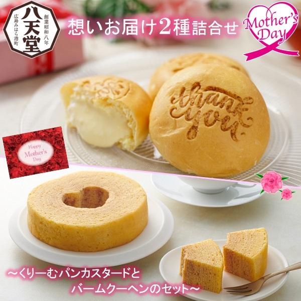 シュークリーム 遅れてごめんね 母の日 プレゼント ギフト スイーツ 八天堂 想いお届け2種詰合せ メッセージカード 母の日ギフト 2024 送料無料 贈答用 詰め合わせ お取り寄せ 人気 高級 親戚 家族 両親 お祝い 御祝 お礼 御礼