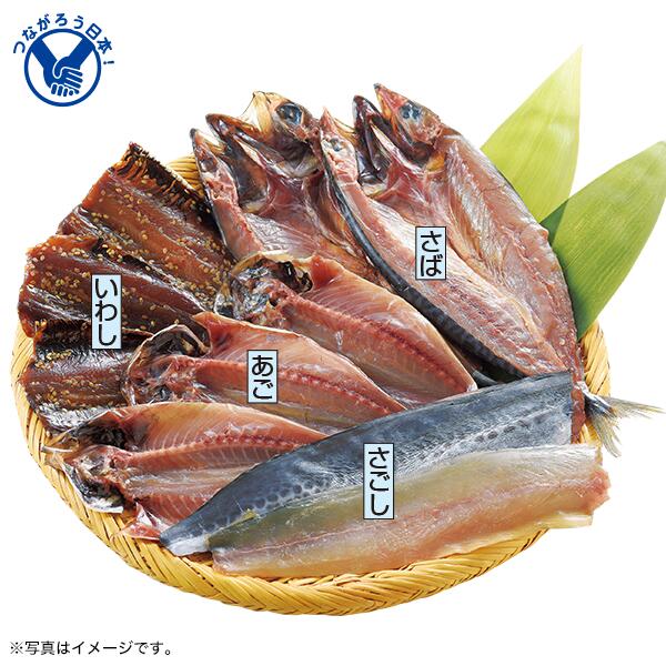 お中元 ギフト 干物 ひもの 魚 石川県 能登半島 能登半島いしる干し 御中元 中元 2024 送料無料 夏 贈..