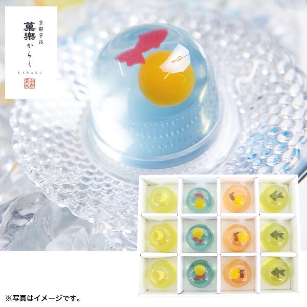 お中元 御中元 中元 2023 送料無料 和菓子 夏 ギフト 京都宇治＜菓楽からく＞ 涼々ゼリー詰合せ 手土産 おもたせ 贈答用 詰め合わせ お取り寄せ 中元ギフト 暑中お見舞い 人気 高級 上司 友人 親戚 家族 両親 同僚 内祝い お祝い 御祝 お礼 御礼 粗品 プレゼント 贈り物のサムネイル
