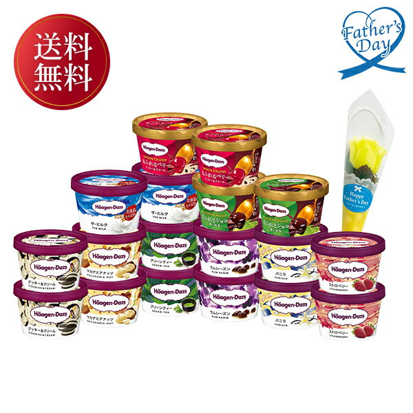 父の日 プレゼント ギフト アイス スイーツ 食べ物 ハーゲンダッツ ハーゲンダッツ 父の日堪能セット メッセージカード 父の日ギフト 2025 送料無料 贈答用 詰め合わせ お取り寄せ 人気 高級 親戚 家族 両親 お祝い 御祝 お礼 御礼