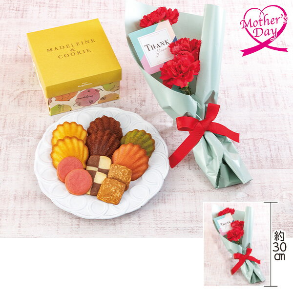 母の日 プレゼント ギフト カーネーション 花束 スイーツ 花 ミニブーケ・銀座コージーコーナー『焼き菓子』セット メッセージカード 母の日ギフト 2025 送料無料 贈答用 詰め合わせ お取り寄せ 人気 高級 親戚 家族 両親 お祝い 御祝 お礼 御礼のサムネイル