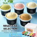 【今だけ★エントリーでP10倍】 お中元 ギフト スイーツ アイスクリーム セイヒョー NIIGATA ICE SELECTION 10個入 御中元 中元 2025 送料無料 夏 贈答用 詰め合わせ お取り寄せ 中元ギフト 人気 高級 上司 友人 親戚 家族 両親 同僚 内祝い お祝い 御祝 お礼 御礼