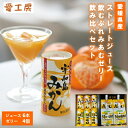 お中元 夏ギフト 送料無料 ギフト プレゼント ドリンク ゼリー お菓子 愛工房 愛媛県産ジュース&ゼリーセット6本4個 御中元 中元 夏 贈答用 詰め合わせ ...