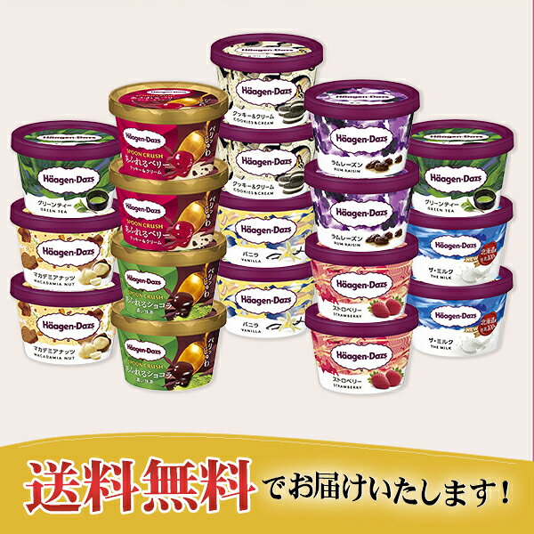 お中元 夏ギフト 送料無料 ギフト プレゼント アイスクリーム ハーゲンダッツ ハーゲンダッツ 堪能セット 御中元 中元 夏 贈答用 詰め合わせ お取り寄せ 中元ギフト 人気 高級 上司 友人 親戚 家族 両親 同僚 内祝い お祝い 御祝 お礼 御礼