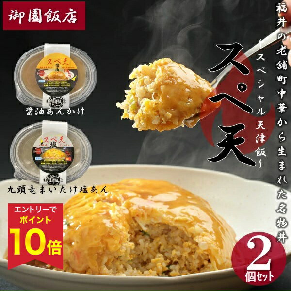 【エントリーでP10倍★】 お歳暮 早割 クーポン 冬ギフト ギフト 惣菜 御園飯店 福井の町中華名物丼「スペ天」2個セット 御歳暮 歳暮 2025 送料無料 冬 贈答用 詰め合わせ お取り寄せ 歳暮ギフト 人気 高級 上司 友人 親戚 家族 両親 同僚 内祝い お祝い 御祝 お礼 御礼