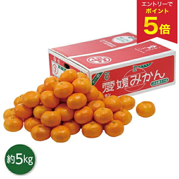 【エントリーで今だけP5倍】 お歳暮 早割 クーポン 冬ギフト ギフト フルーツ みかん 愛媛県産  ...