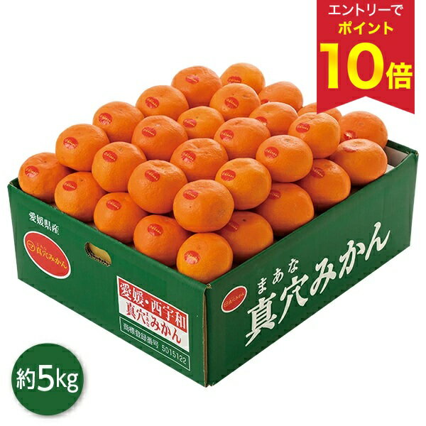【エントリーでP10倍★】 お歳暮 早割 クーポン 冬ギフト ギフト フルーツ みかん 愛媛県産 真穴みかん 5kg 御歳暮 歳暮 2025 送料無料 冬 贈答用 詰め合わせ お取り寄せ 歳暮ギフト 人気 高級 上司 友人 親戚 家族 両親 同僚 内祝い お祝い 御祝 お礼 御礼のサムネイル