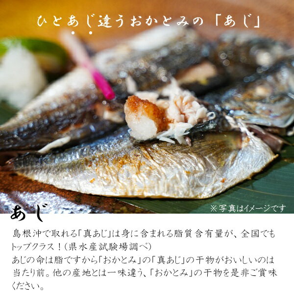 父の日 プレゼント ギフト 干物 グルメ 岡富商店 山陰日本海 選りすぐりのひもの詰合せ 3種 BT30-1 メッセージカード 父の日ギフト 父の日2026 送料無料 贈答用 詰め合わせ お取り寄せ 人気 高級 家族 両親 お祝い 御祝 お礼 御礼 3