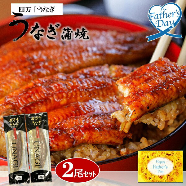 乐天商城 - 父の日 プレゼント ギフト 鰻 うなぎ グルメ 四万十うなぎ 蒲焼 2尾セット メッセージカード 父の日ギフト 父の日2026 送料無料 贈答用 詰め合わせ お取り寄せ 人気 高級 家族 両親 お祝い 御祝 お礼 御礼