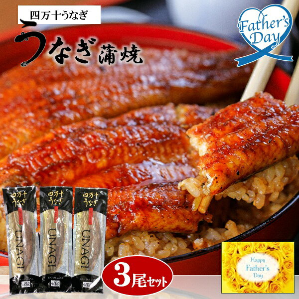 乐天商城 - 父の日 プレゼント ギフト 鰻 うなぎ グルメ 四万十うなぎ 蒲焼 3尾セット メッセージカード 父の日ギフト 父の日2026 送料無料 贈答用 詰め合わせ お取り寄せ 人気 高級 家族 両親 お祝い 御祝 お礼 御礼