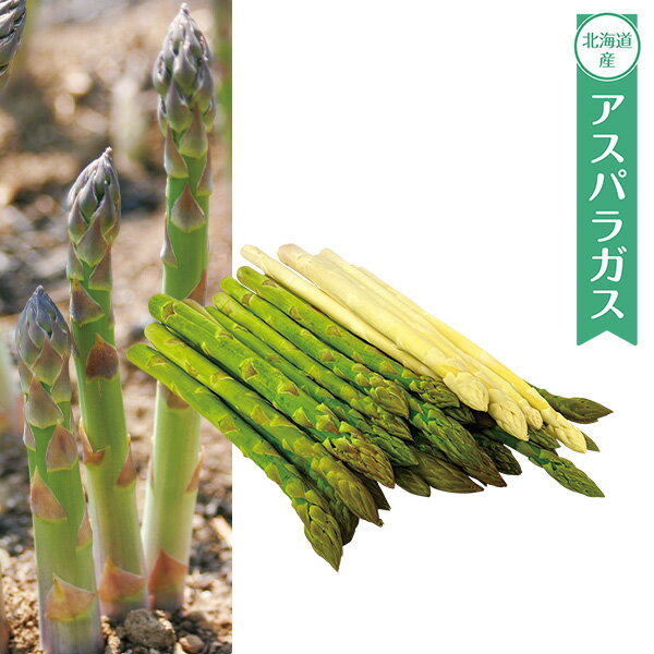 プチギフト 出産祝い 内祝い 結婚祝い アスパラガス 春 旬 食べ物 北海道 グリーン＆ホワイトアスパラガスセット 出産内祝い 内祝 香典返し 2026 送料無料 贈答用 詰め合わせ お取り寄せ
