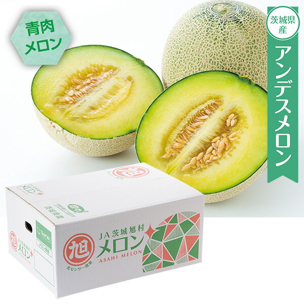 プチギフト 出産祝い 内祝い 結婚祝い フルーツ 食べ物 JA茨城旭村 アンデスメロン 2L・5玉 出産内祝い 内祝 香典返し 2026 送料無料 贈答用 詰め合わせ お取り寄せ