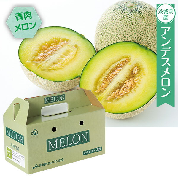 プチギフト 出産祝い 内祝い 結婚祝い フルーツ 食べ物 JA茨城旭村 アンデスメロン 2L・2玉 出産内祝い 内祝 香典返し 2026 送料無料 贈答用 詰め合わせ お取り寄せ