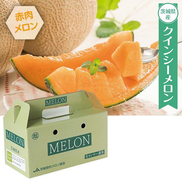 プチギフト 出産祝い 内祝い 結婚祝い フルーツ 食べ物 JA茨城旭村 クインシーメロン 2L・2玉 出産内祝い 内祝 香典返し 2026 送料無料 贈答用 詰め合わせ お取り寄せ